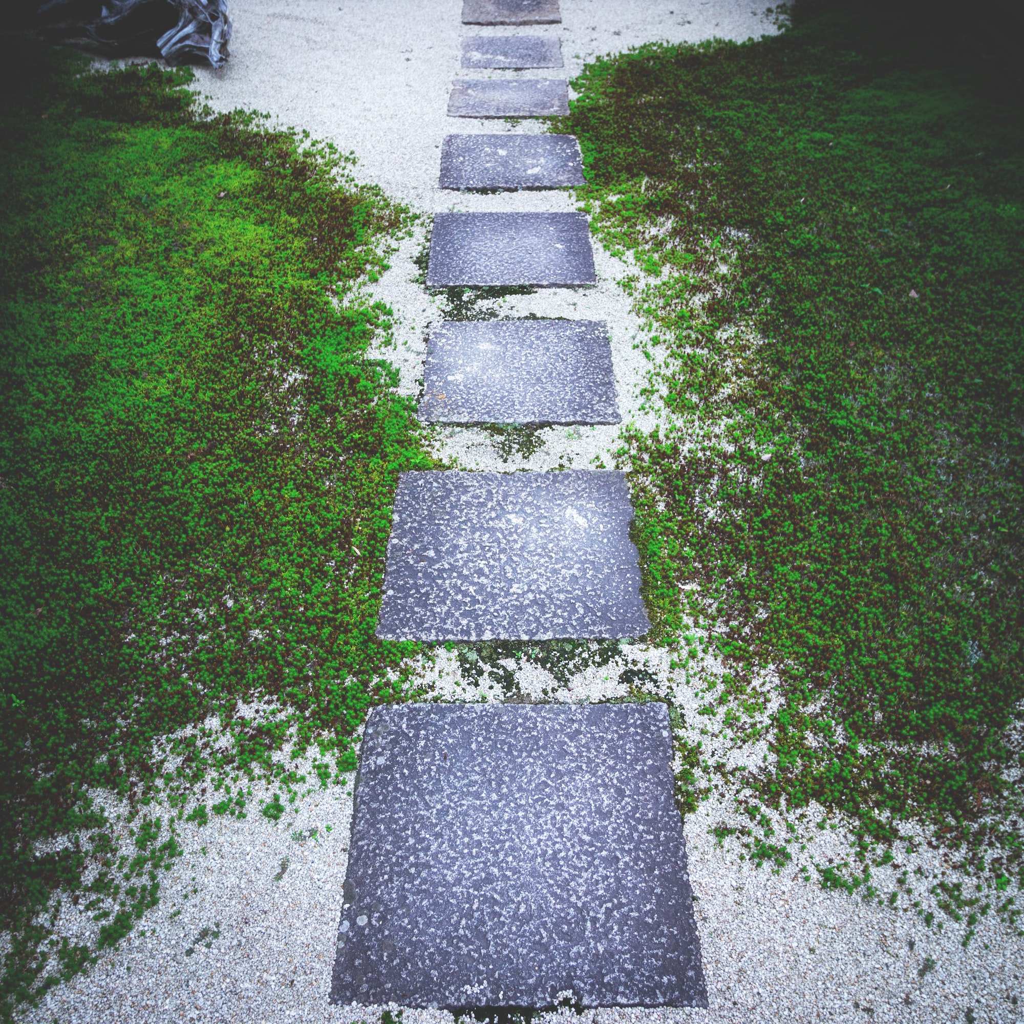 High angle shot of a mossy path in a temple in Japan