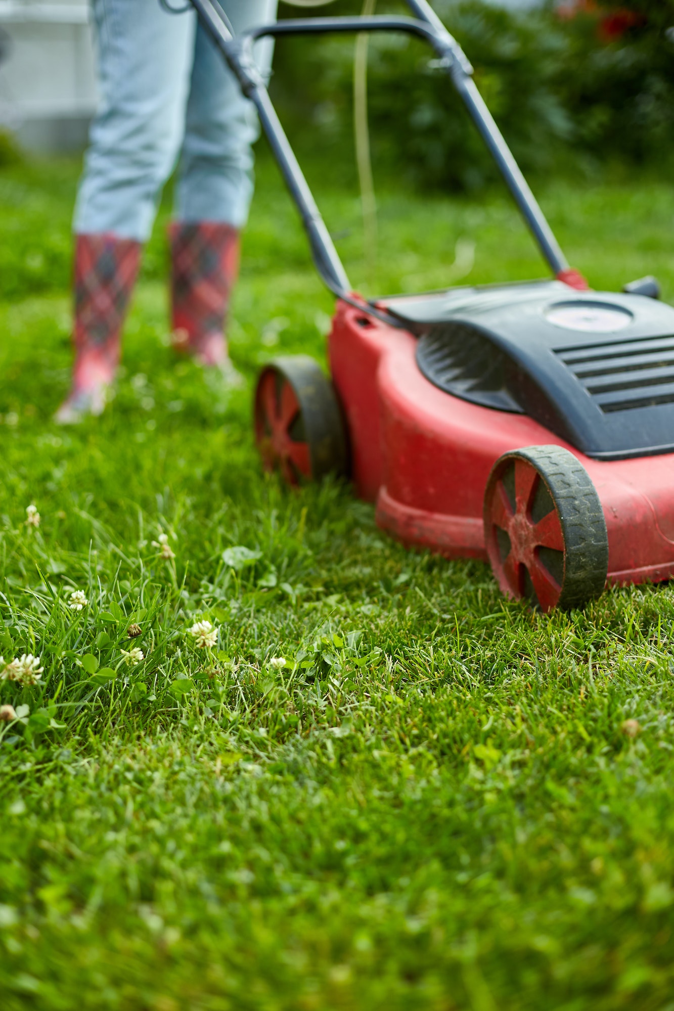 unrecognizable Woman mows the lawn with a lawn mower grass at home garden, gardener woman working